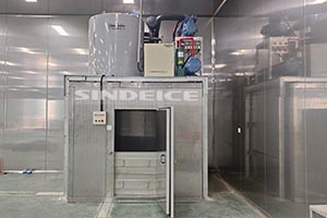 山東食品廠，日產(chǎn)8噸片冰機
